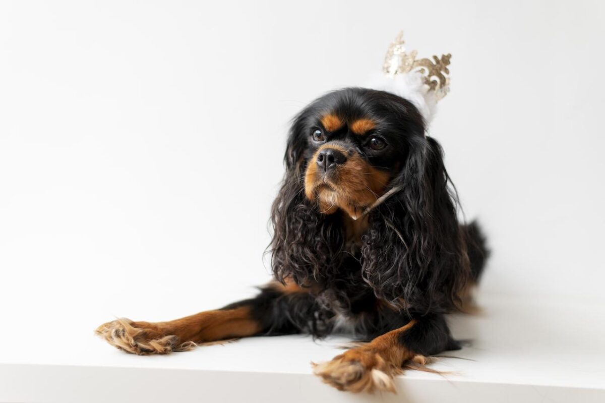 It's a Barking Banquet this Coronation at M Canary Wharf