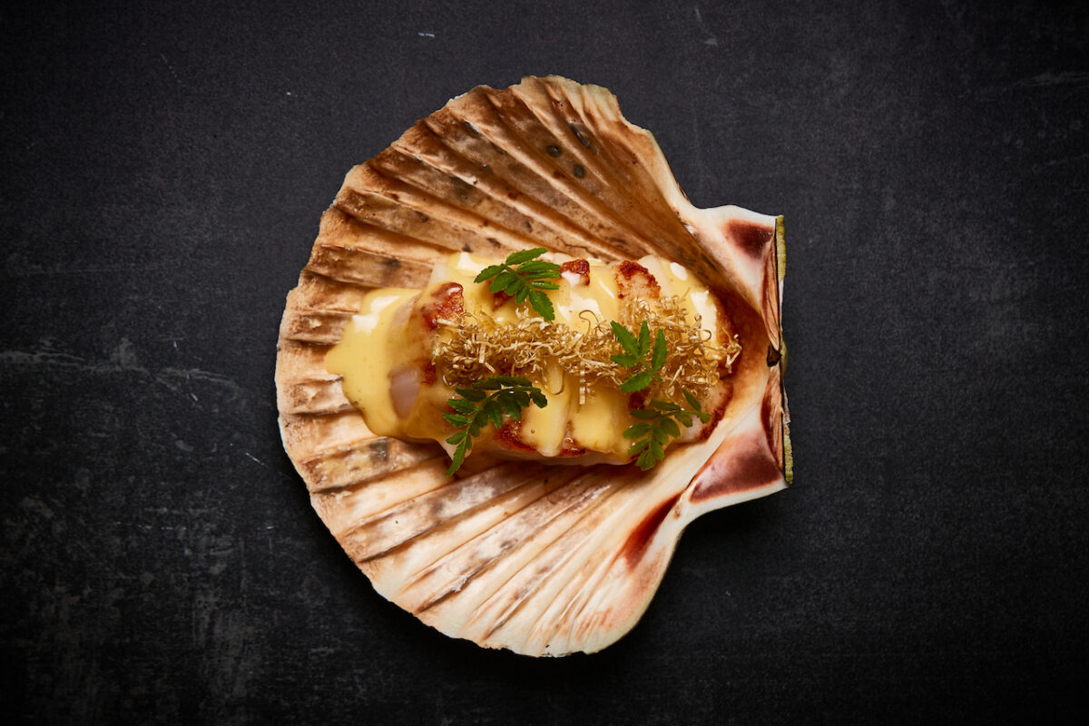 HUMO's hand-dived Orkney scallop from the ‘flame’, grilled directly on 25-year-aged French oak and topped with a Speyside single malt whisky sabayon