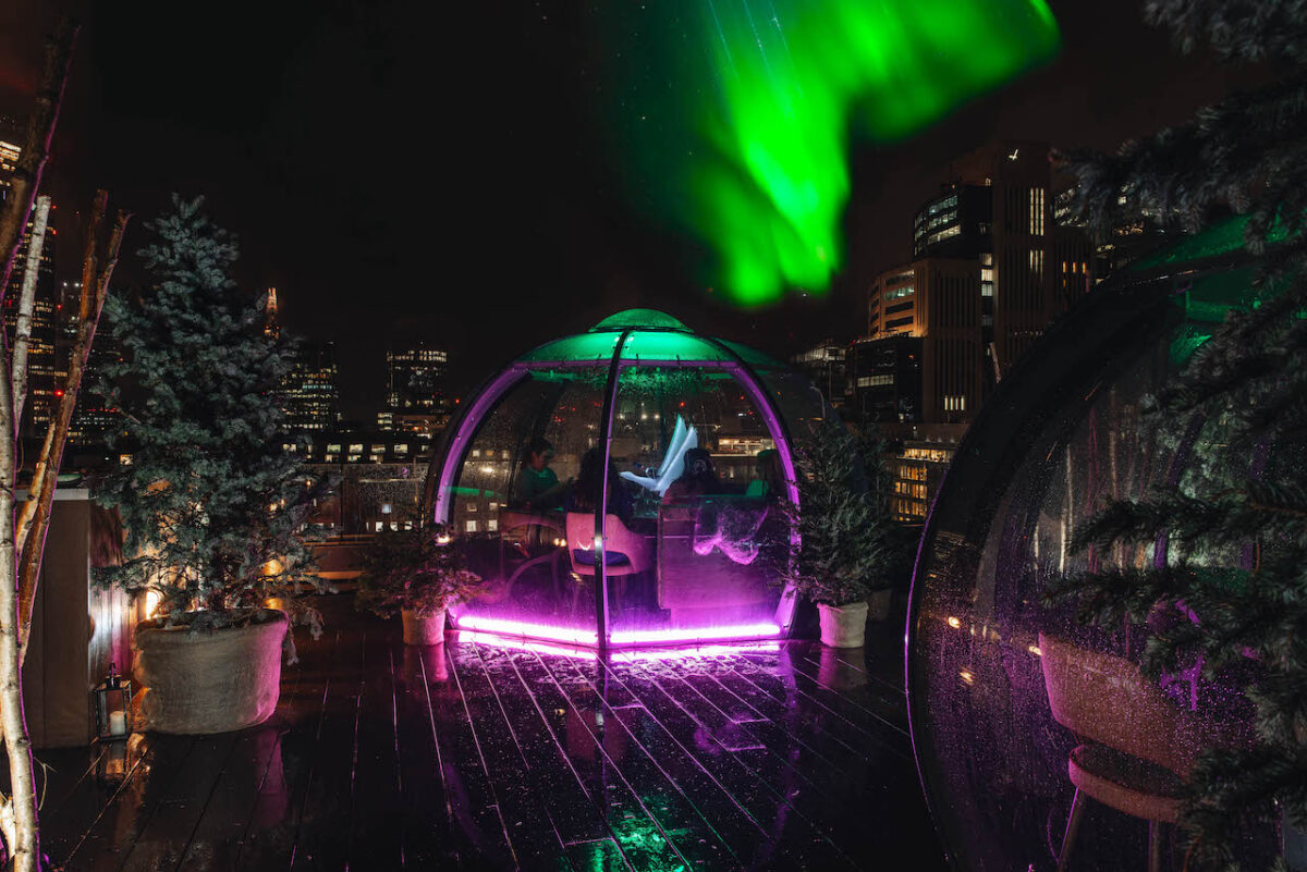 Outdoor igloo at Aviary lit up by pink and green light