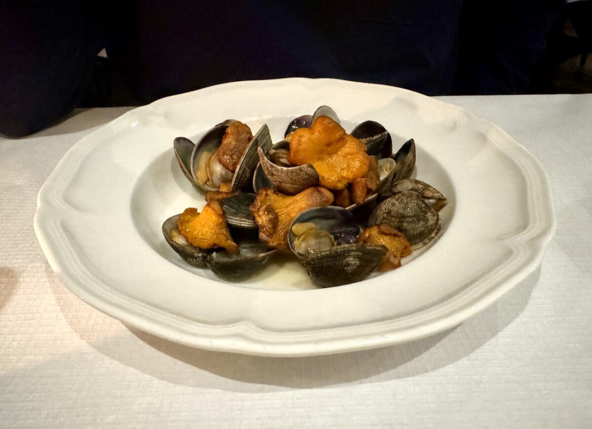 Ophelia - Palourde clams with girolle mushrooms