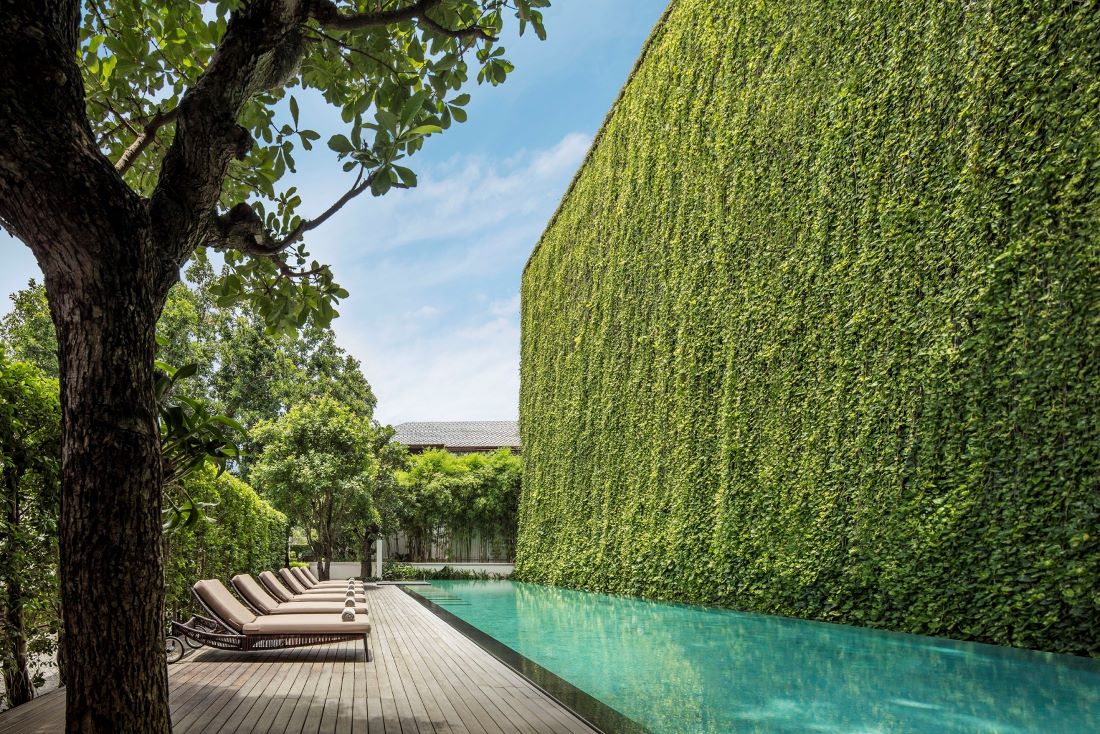 The incredible outdoor pool with vertical plant wall