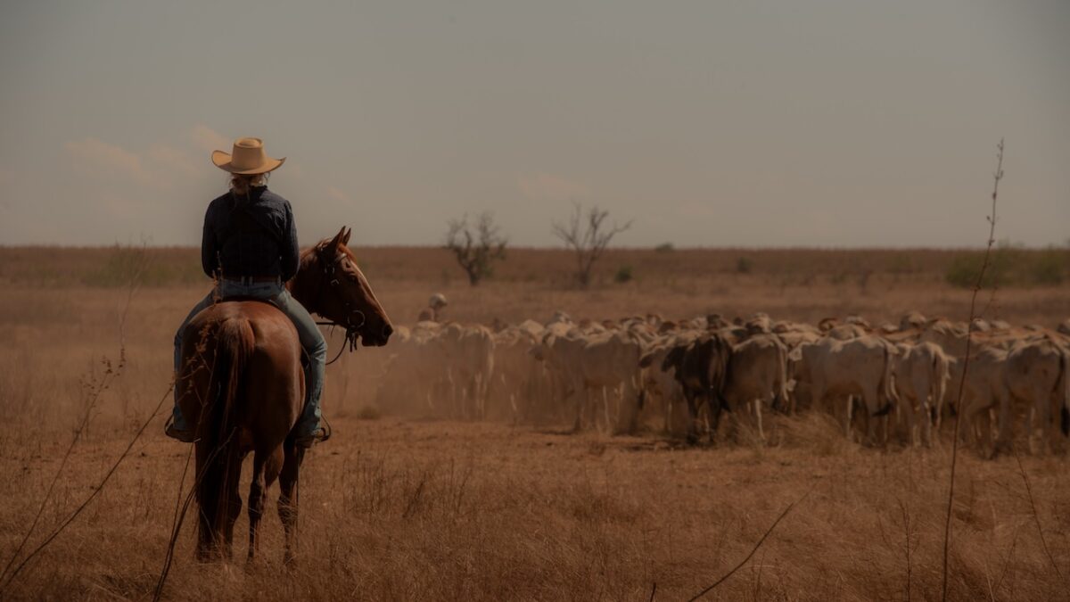 Territory on Netflix (Photo Credit Main Image - Desert King. Cr. Courtesy of Netflix © 2024)