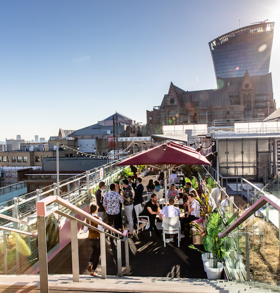 Savage Garden London - the city's wildest terrace!