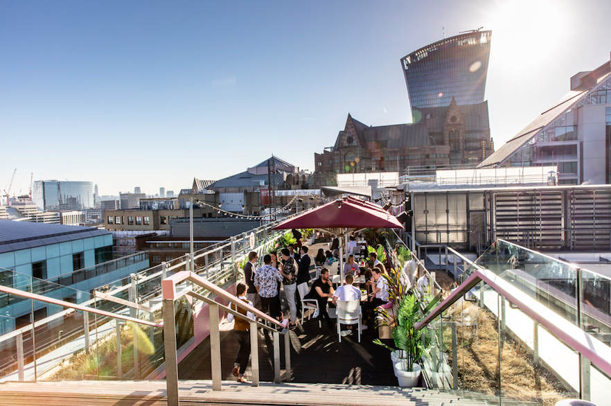 Savage Garden London - the city's wildest terrace!