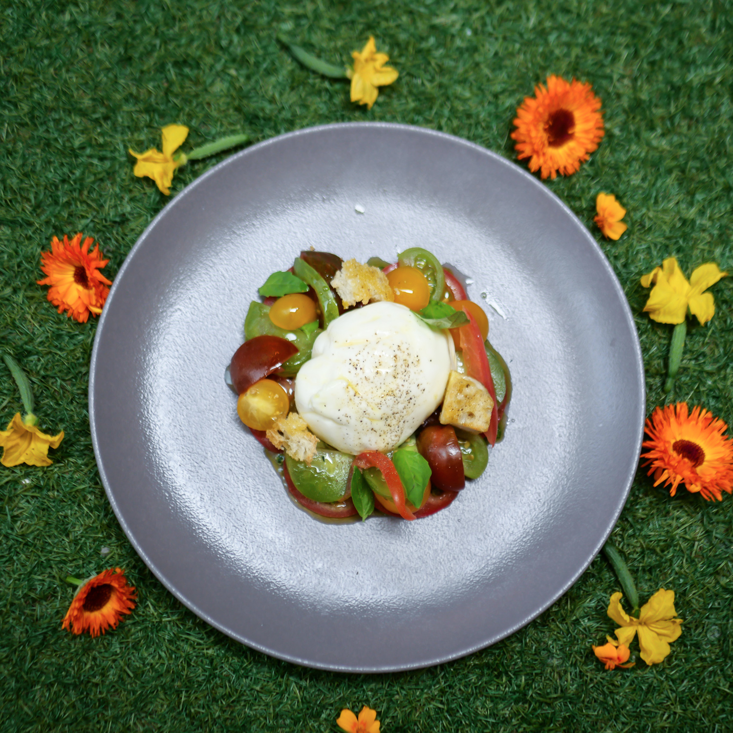 The Galvin HOP Summer Menu & Terrace for Al Fresco Dining: Burrata with Heritage Tomatoes