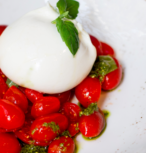 Bocconcino Restaurant - Italian Elegance in the Heart of Mayfair: Burrata with Cherry Tomatoes