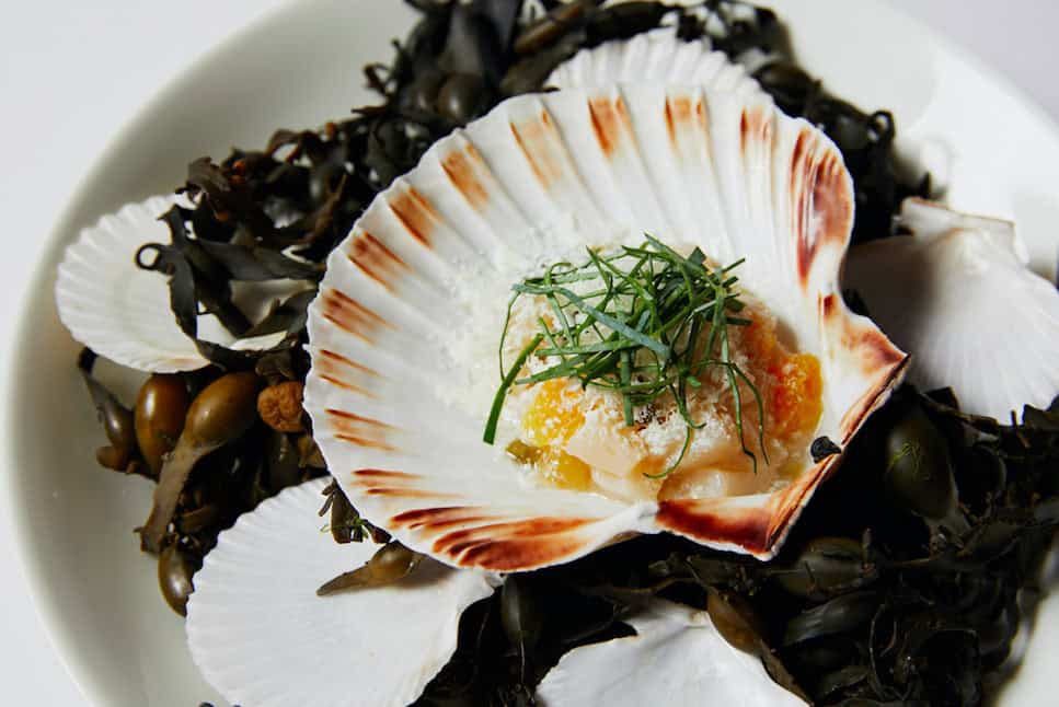 The Luxe List: 8 New Openings For November - Relaunch of The Grill at The Dorchester: Scallops from Tom Booton's New Menu