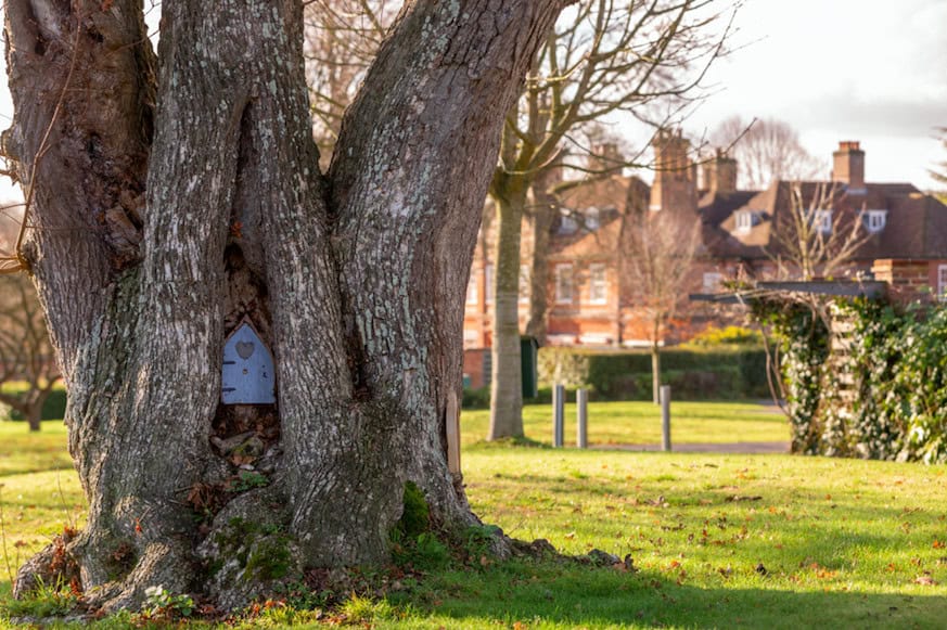 The Norton Park Hotel & Spa - A Perfect Family Getaway: With 54 acres of woodland