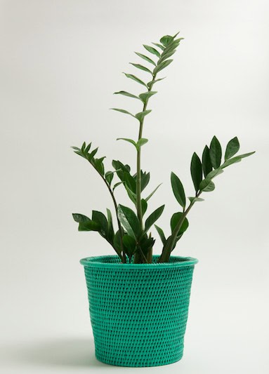 Make Your Work From Home Space Beautiful With Kalinko: Kanbalu Rattan Planter (£42)