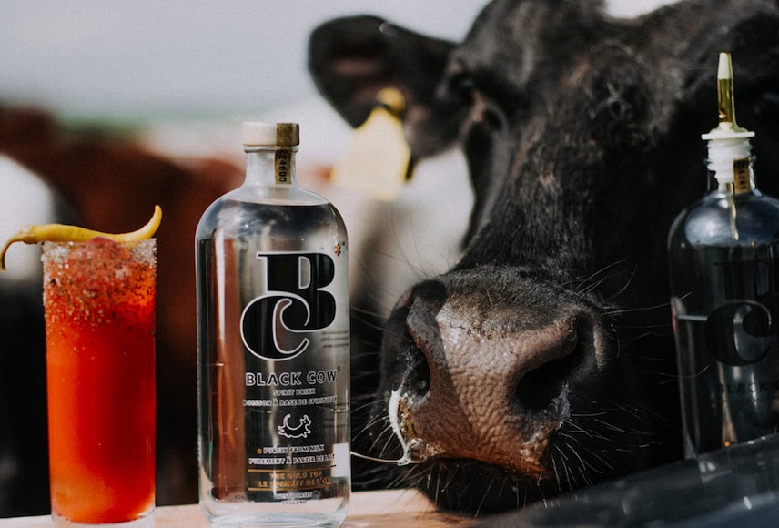 The 'Waste Not Want Not' Instagram Series With Black Cow Vodka (Photo Credit: Matt Austin)
