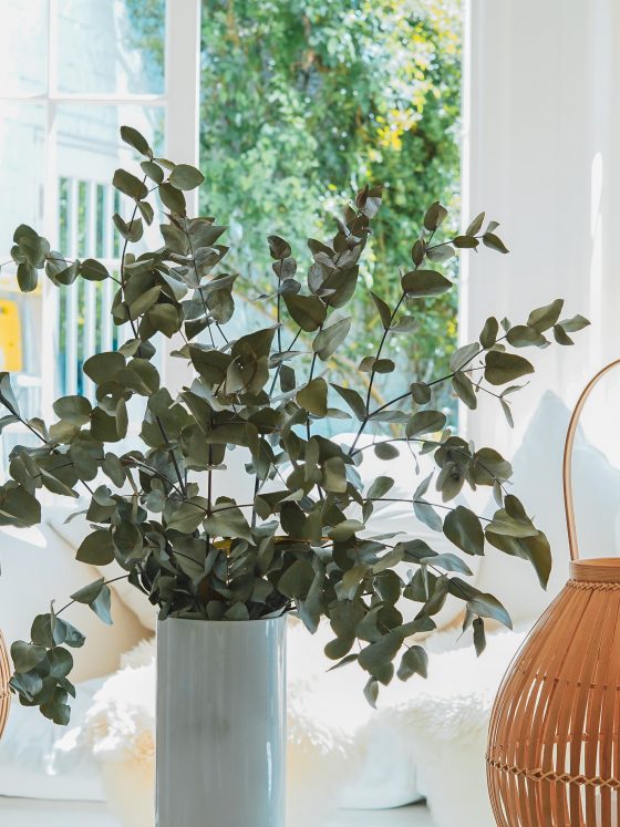 3 Ways to Bring a Touch of Nature into Your Home