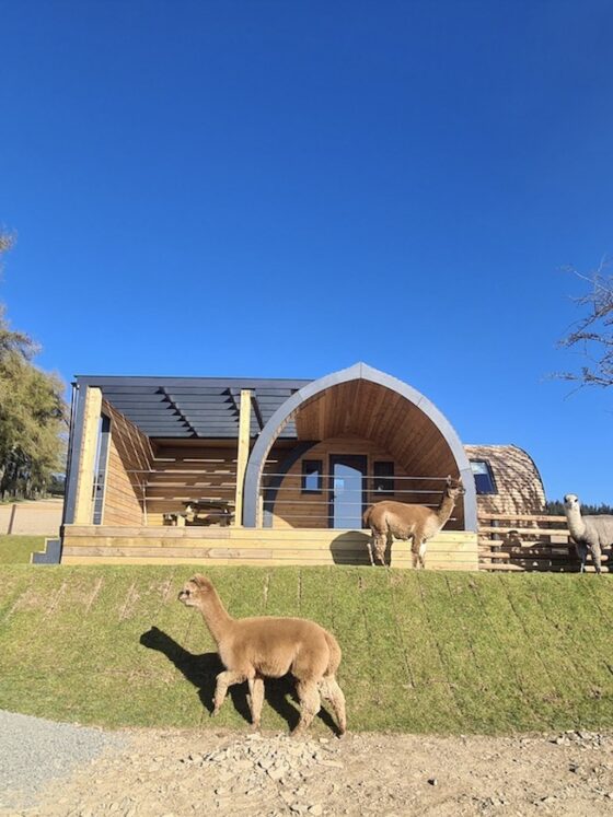 The Hush Hush Glamping Experience at Huacaya's Cush starts from £155 a night