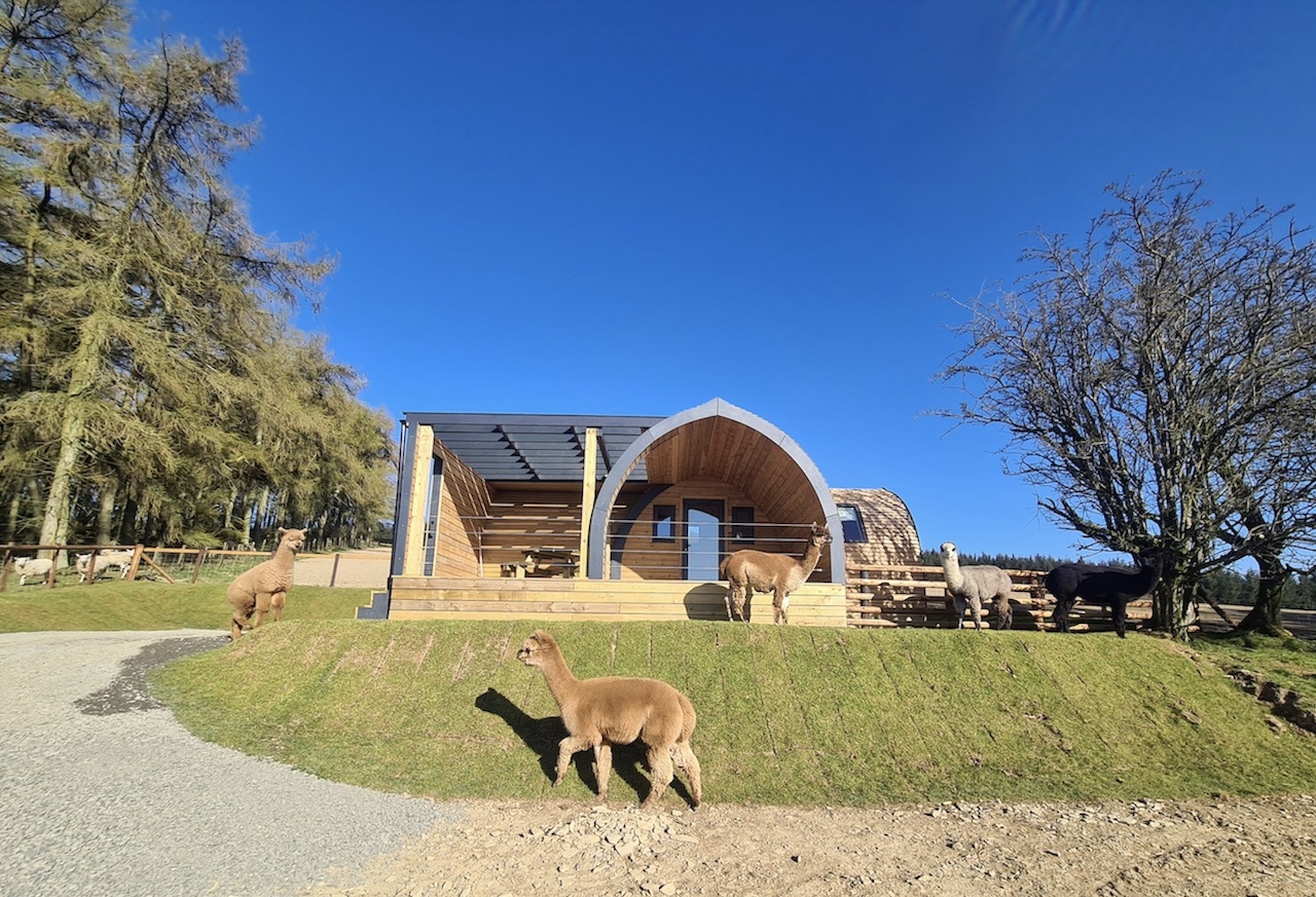 The Hush Hush Glamping Experience at Huacaya's Cush starts from £155 a night