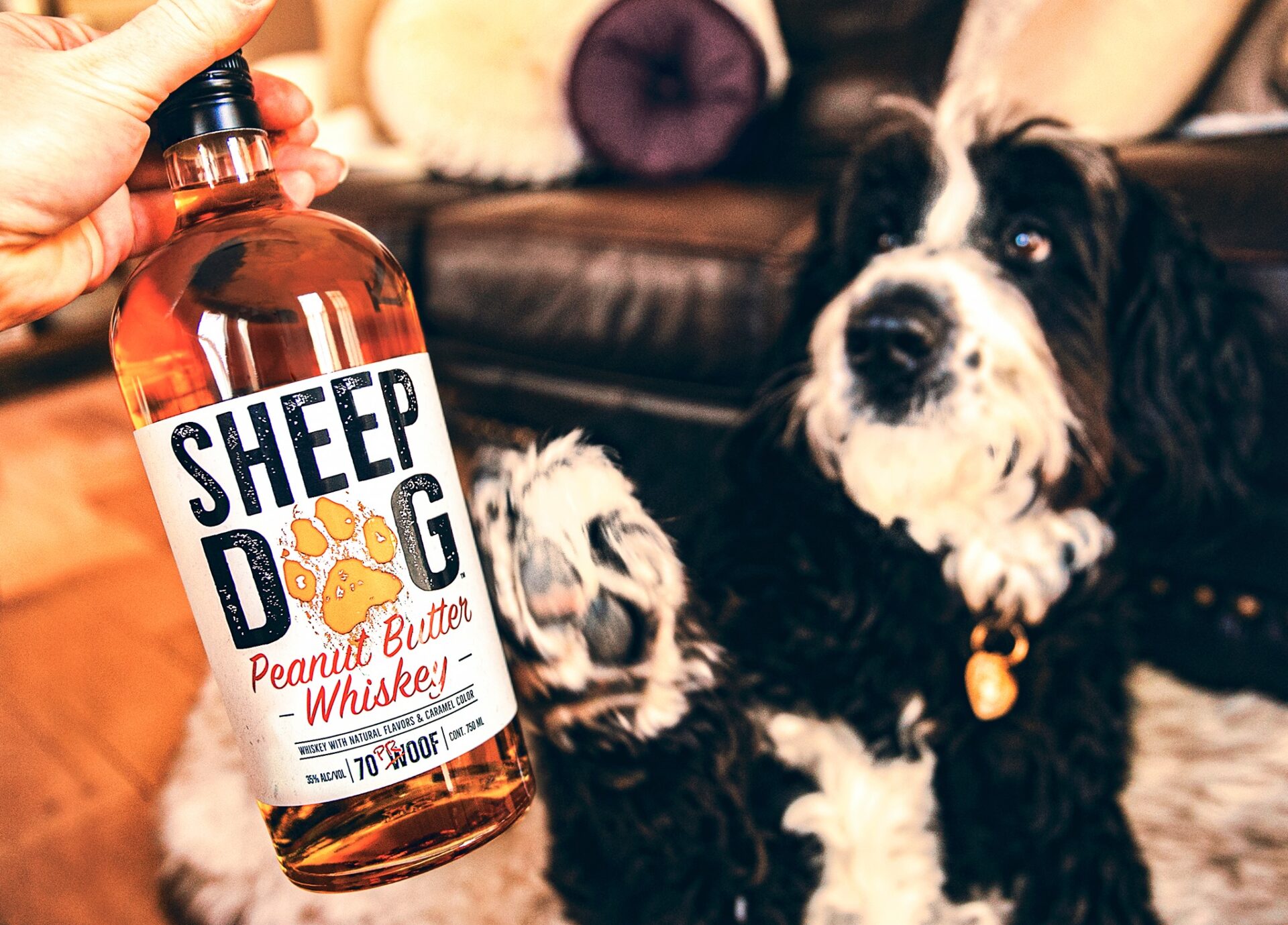 Sheep Dog Peanut Butter Whiskey - a taste sensation and one drink you really need to try this month!