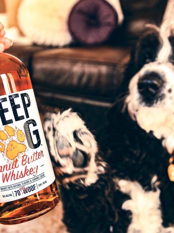 Sheep Dog Peanut Butter Whiskey - a taste sensation and one drink you really need to try this month!