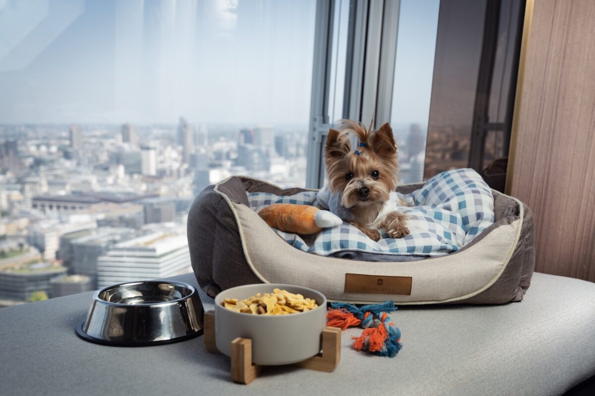 Pampered pooches will love a stay at the dog friendly Shangri-La at The Shard with a special package for them to enjoy!