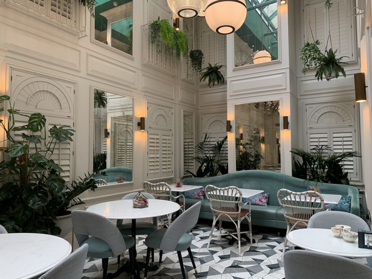 Botanica - the perfect setting for afternoon tea at 100 Queen's Gate