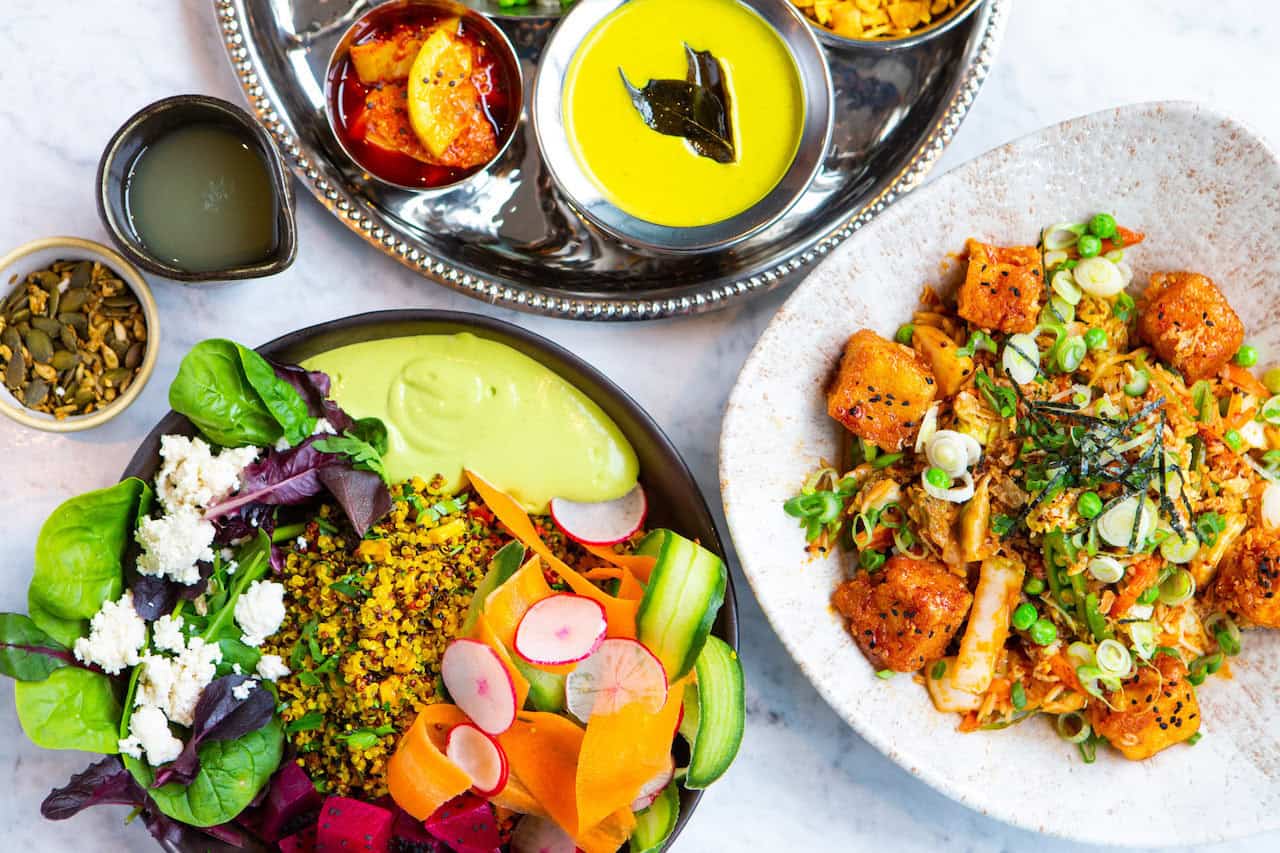 incredible dishes which are all 100% plant-based, but which your meat-eating friend will also love!