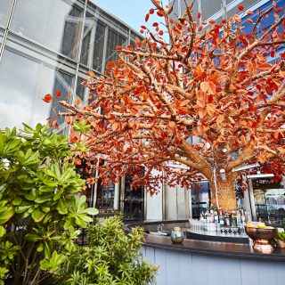 One of London's most iconic rooftop terraces - The Tree Terrace at Sushisamba London Heron Tower (Photo Credit: Steven Joyce)