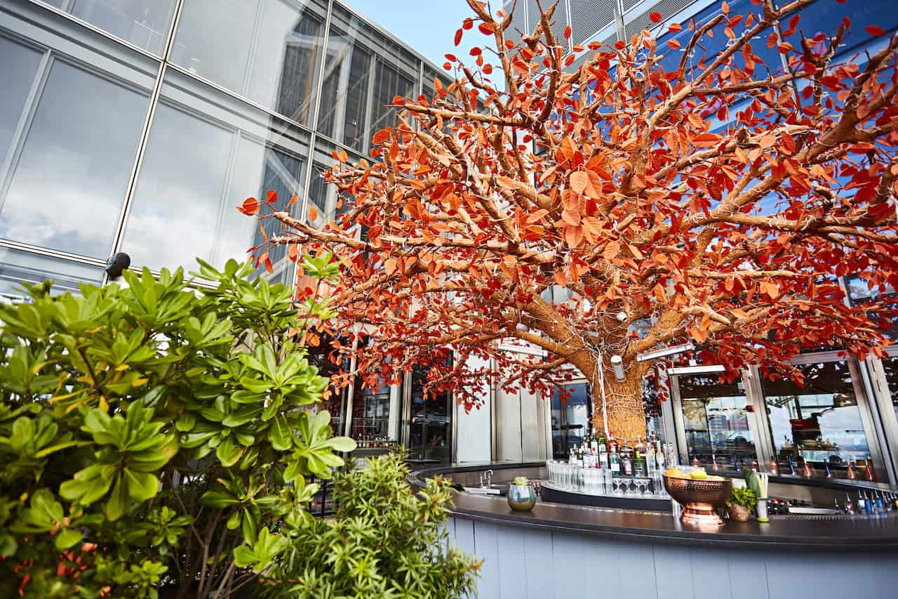 One of London's most iconic rooftop terraces - The Tree Terrace at Sushisamba London Heron Tower (Photo Credit: Steven Joyce)