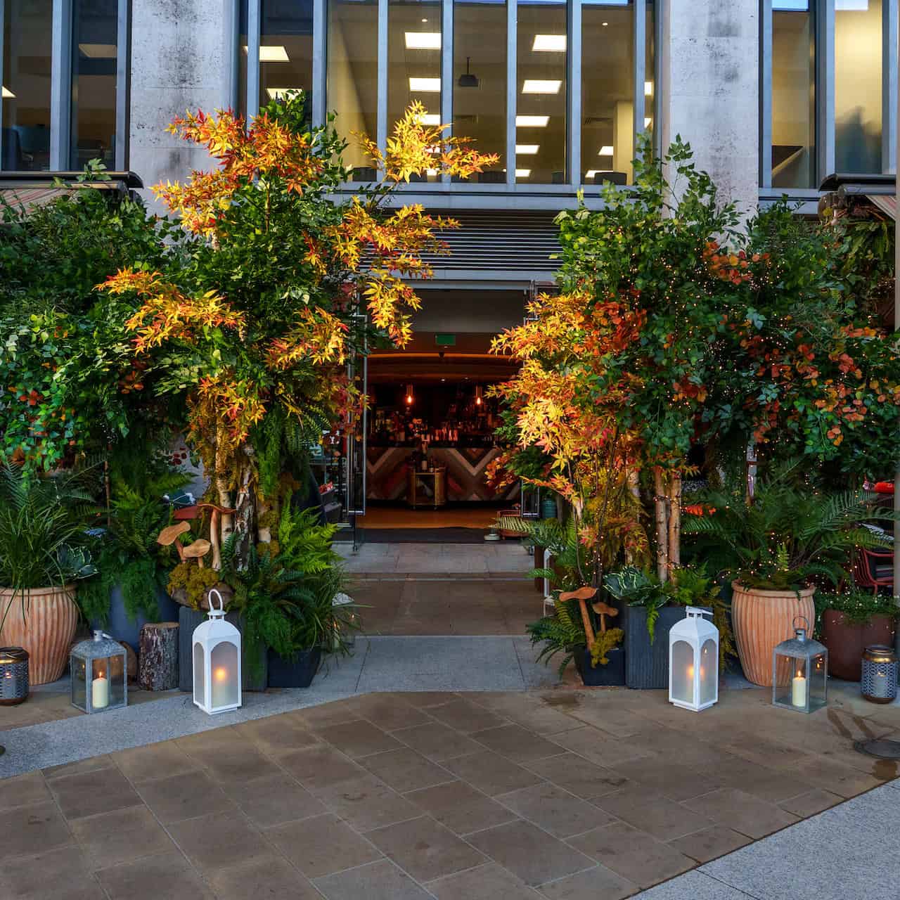 Visit the Enchanted Forest Terrace at The Happenstance this December