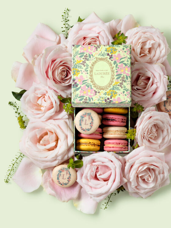 Is there anything more beautiful than these Ladurée limited edition chocolate boxes?