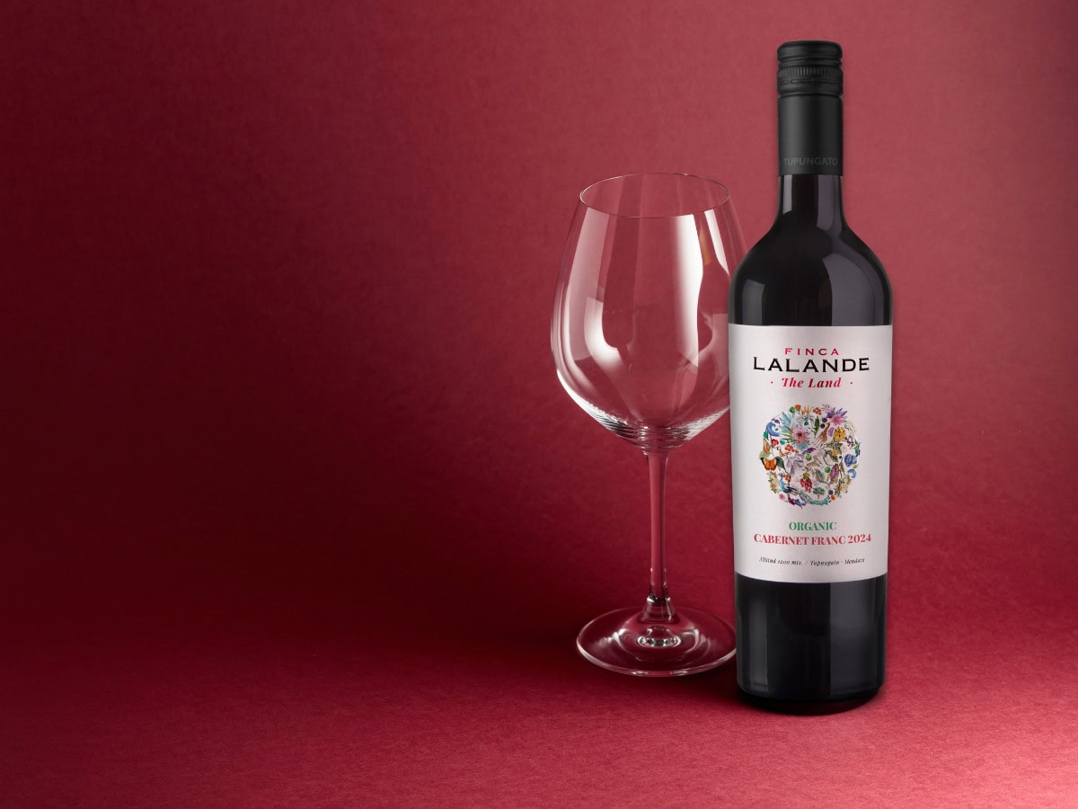 Finca Lalande Organic Cabernet Franc 2024 (£10.99)
from Waitrose