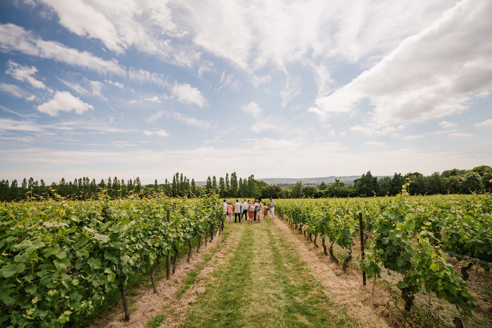 Nyetimber’s sought-after Open Day Tours return for 2026,
