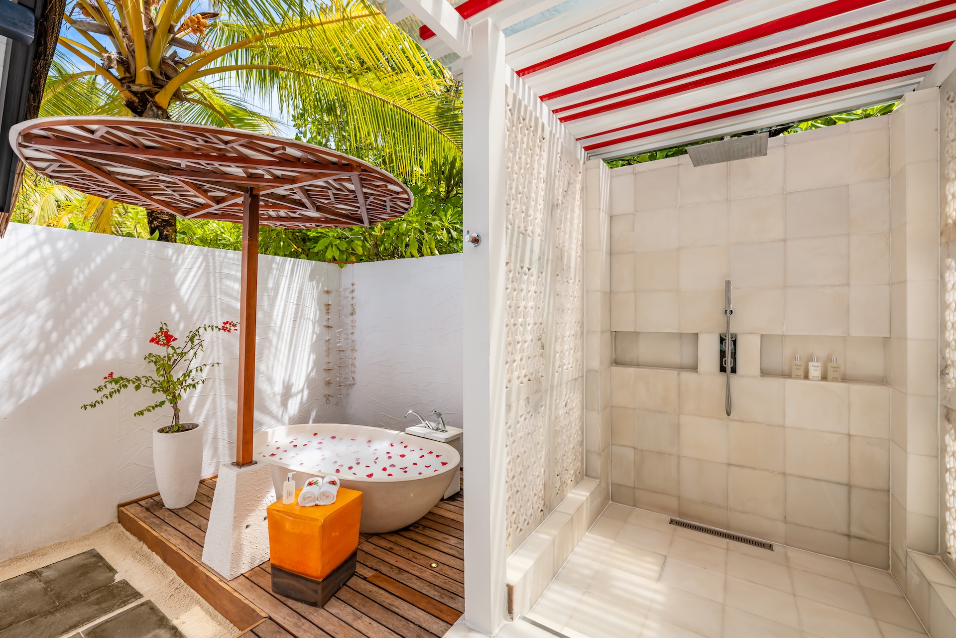 The monsoon shower and tub
